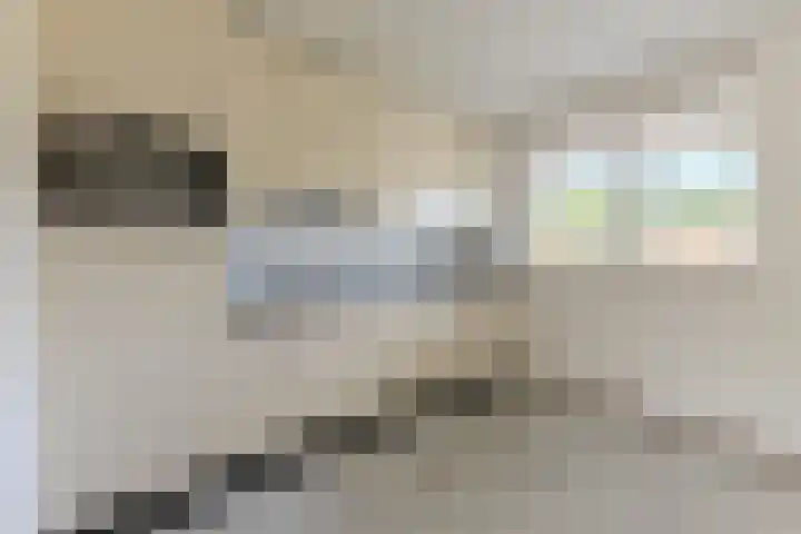 Maerelaan 9 B Heemskerk thumbnail 7