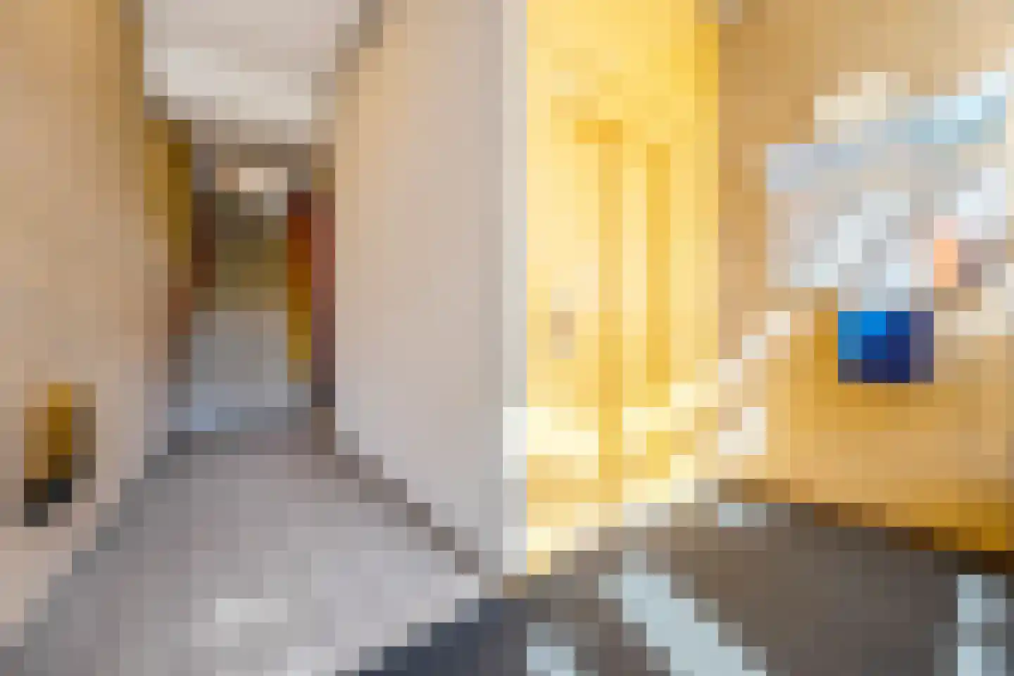 Maerelaan 9 E Heemskerk thumbnail 25