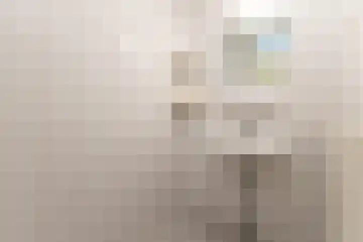Maerelaan 9 Heemskerk thumbnail 22