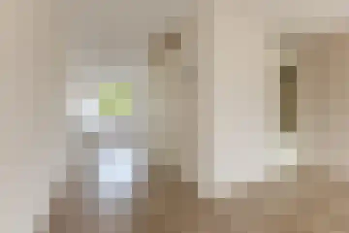 Maerelaan 9 Heemskerk thumbnail 6