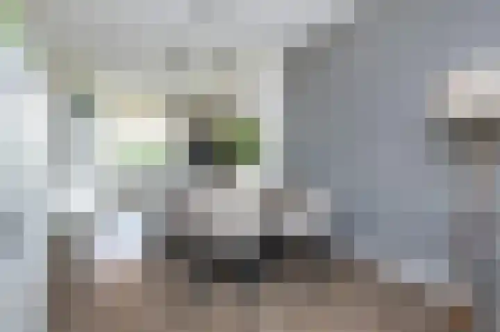 Maerenseweg 45 Ouddorp thumbnail 12