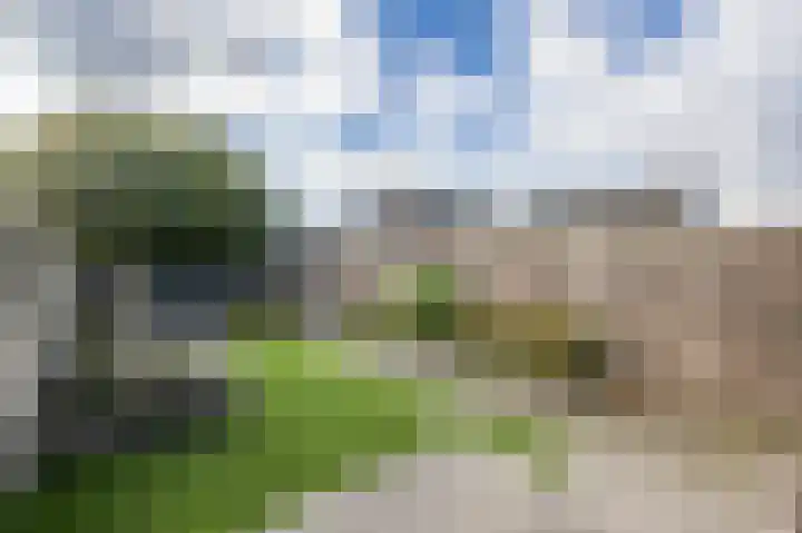 Maerenseweg 45 Ouddorp thumbnail 33