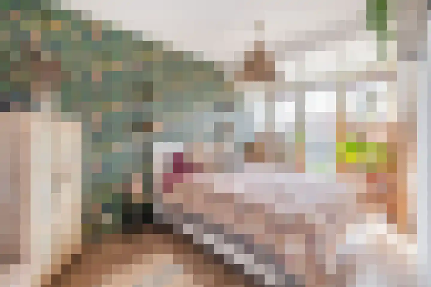 Maerenseweg 68 Ouddorp thumbnail 22