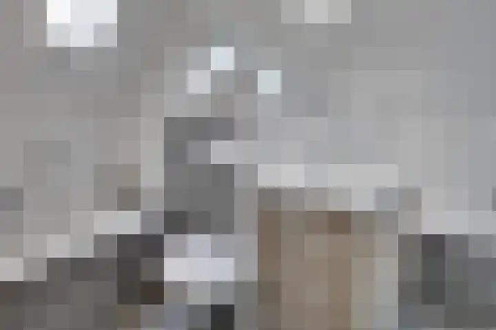 Maerenseweg 69 Ouddorp thumbnail 12