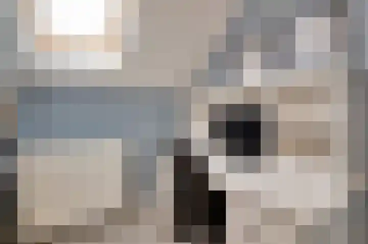 Maerenseweg 69 Ouddorp thumbnail 14