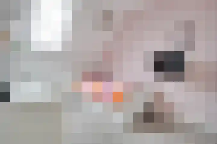 Maerenseweg 69 Ouddorp thumbnail 8