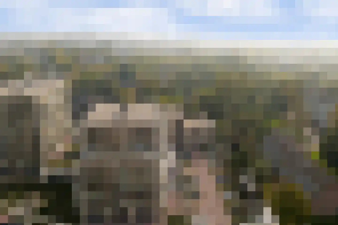 Maerlantburg 60 Gouda thumbnail 41