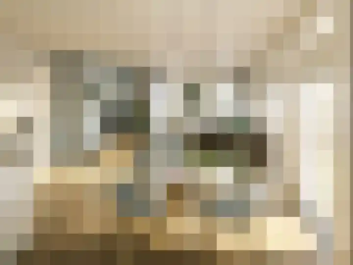 Maerlantburg 87 Gouda thumbnail 4