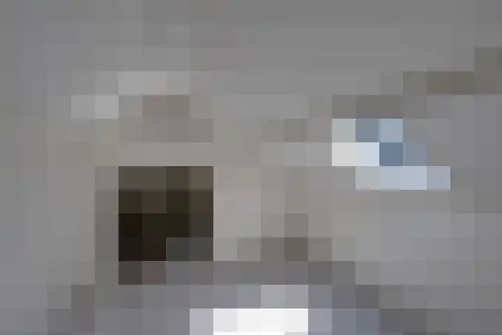 Maerlantstraat 23 Etten-Leur thumbnail 26
