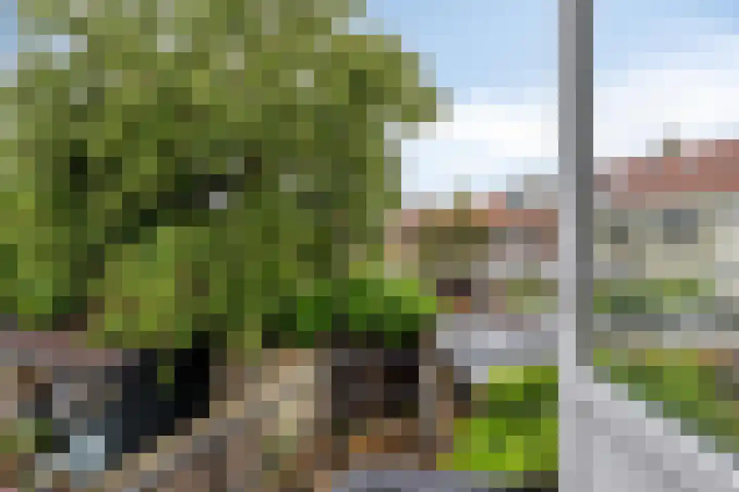 Maerten Gerritszstraat 8 Leeuwarden thumbnail 28