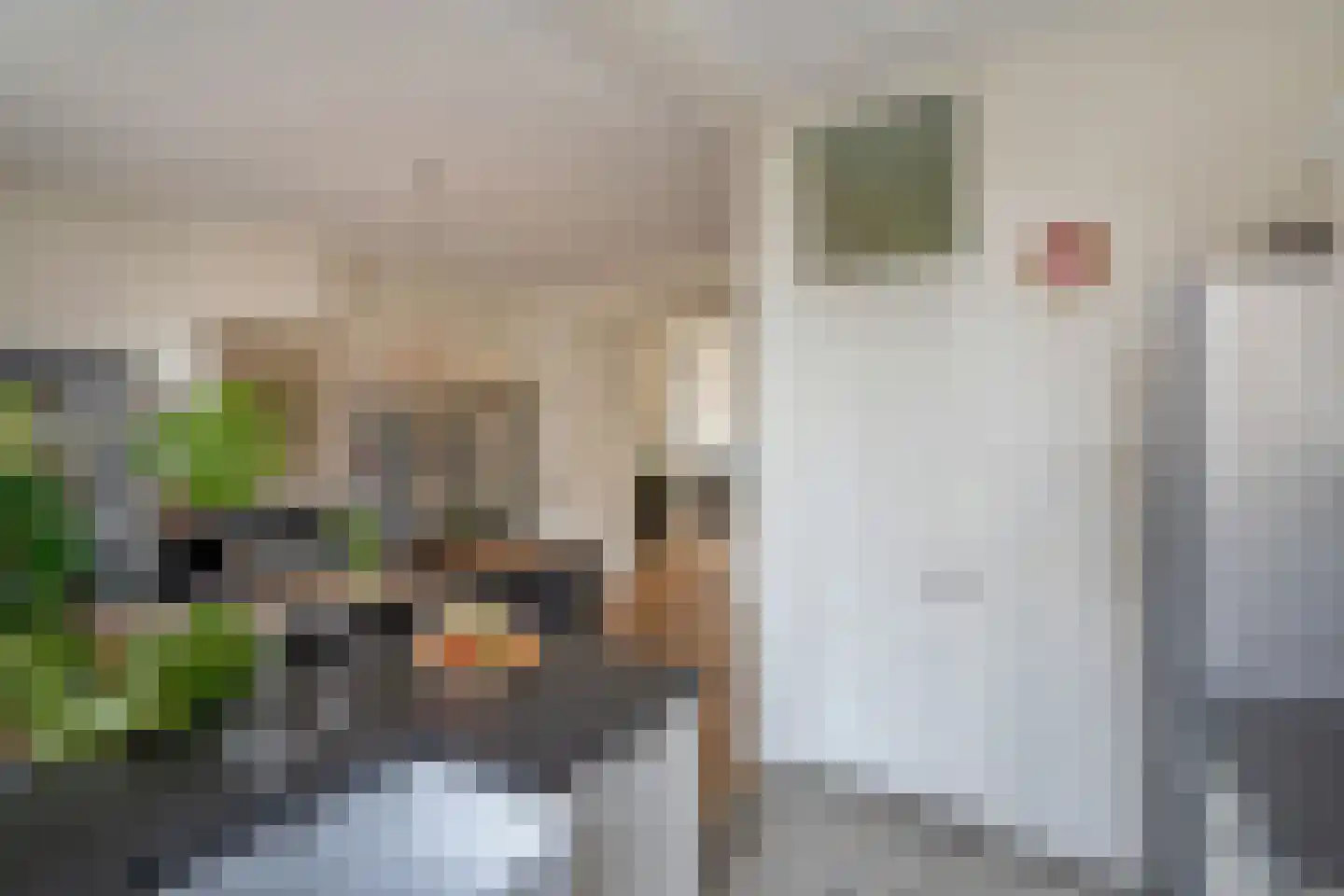 Maerten Trompstraat 18 Delft thumbnail 18