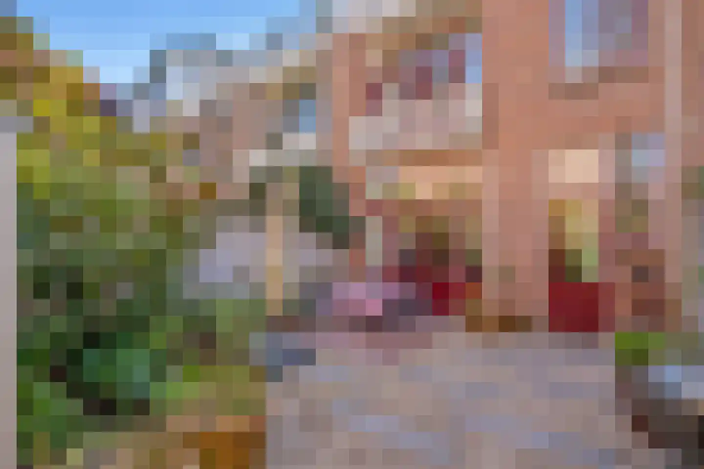 Maerten Trompstraat 18 Delft thumbnail 20