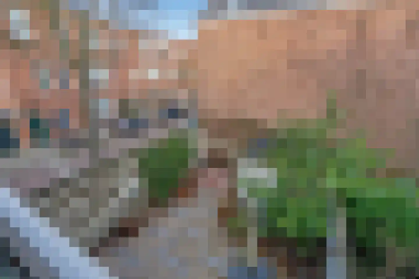 Maerten Trompstraat 18 Delft thumbnail 30