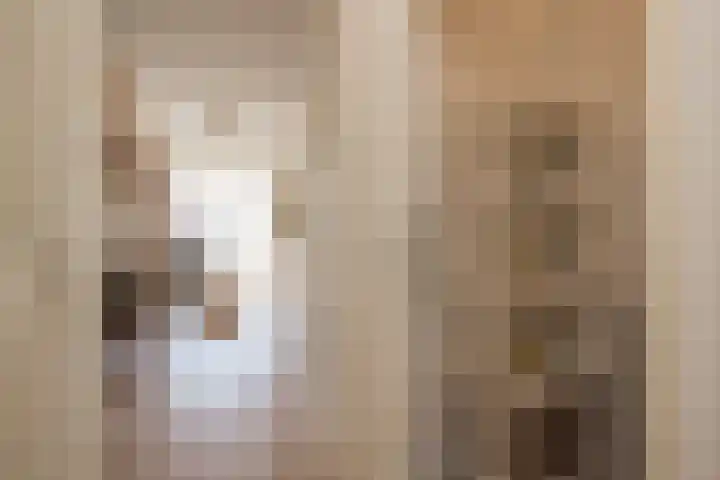 Maerten Trompstraat 23 Hillegom thumbnail 13