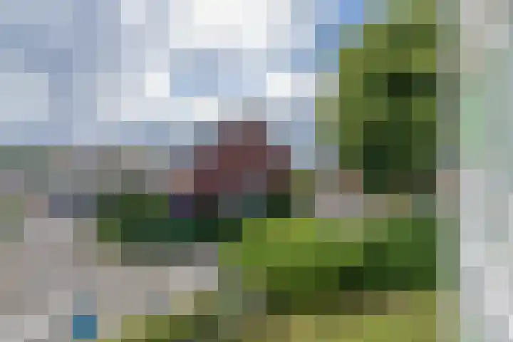 Maerten Trompstraat 23 Hillegom thumbnail 24
