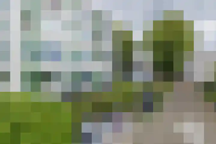 Maerten Trompstraat 23 Hillegom thumbnail 26