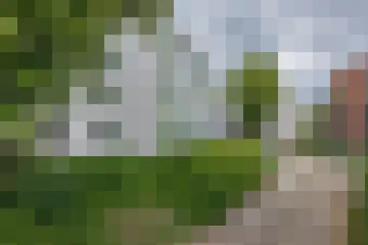 Maerten Trompstraat 23 Hillegom thumbnail 4