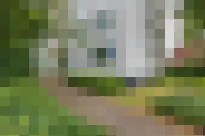 Maerten Trompstraat 23 Hillegom thumbnail 5