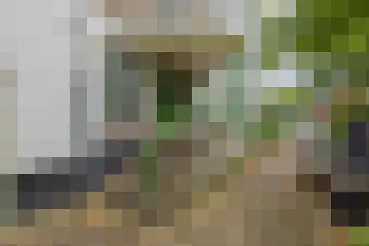 Maerten Trompstraat 23 Hillegom thumbnail 6