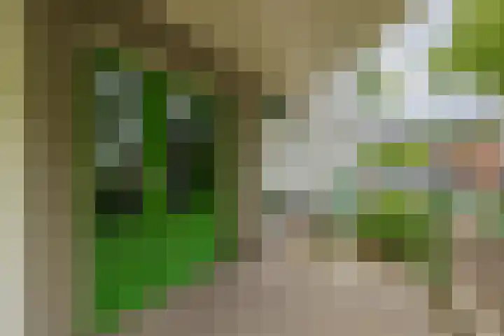 Maerten Trompstraat 23 Hillegom thumbnail 7