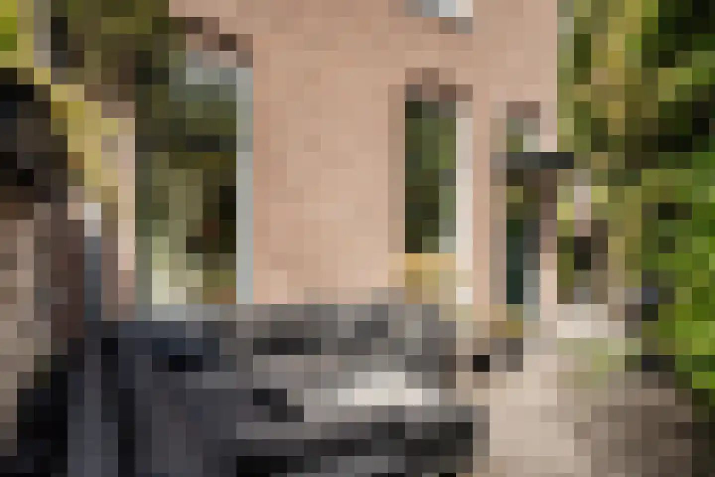 Maerten van Heemskerckstraat 1 B Haarlem thumbnail 10