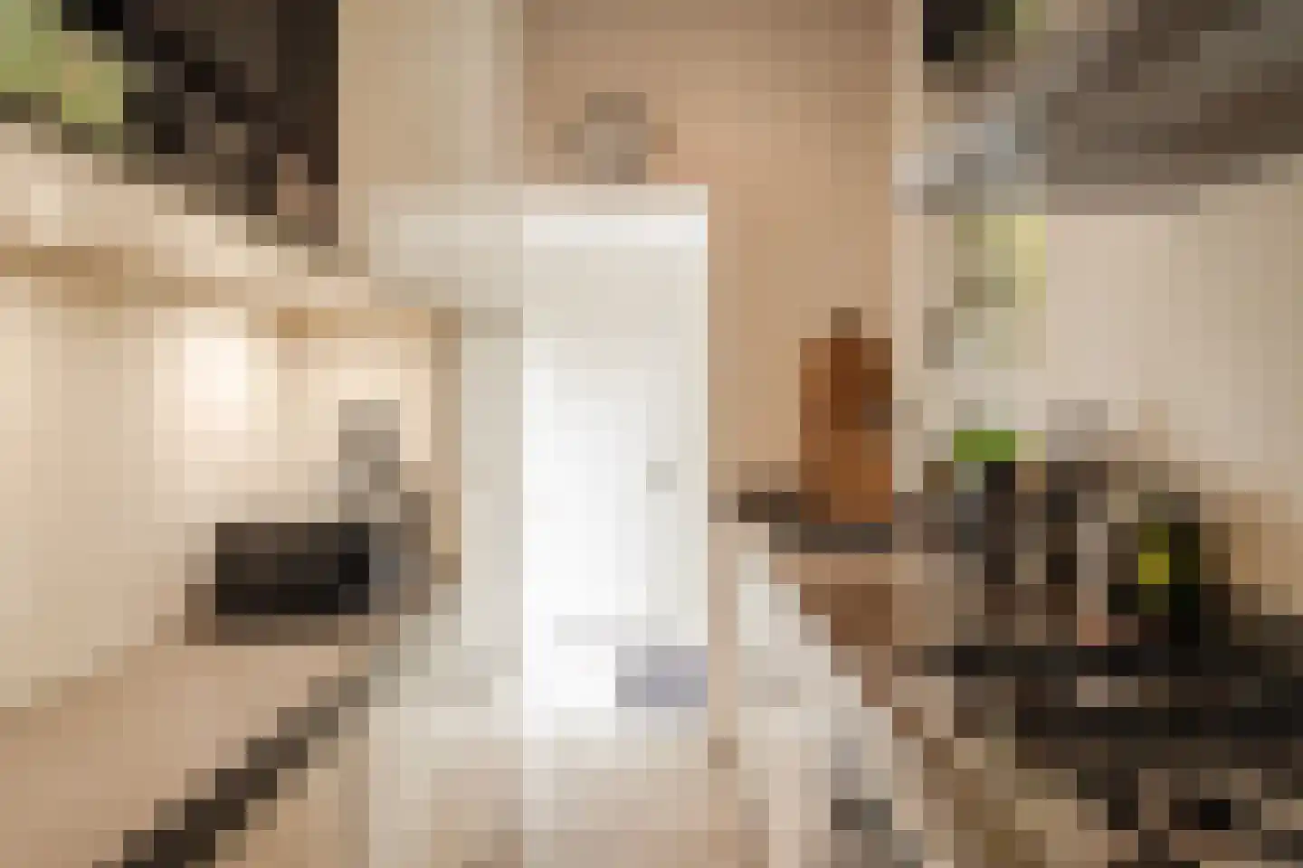 Maerten van Heemskerckstraat 1 B Haarlem thumbnail 27