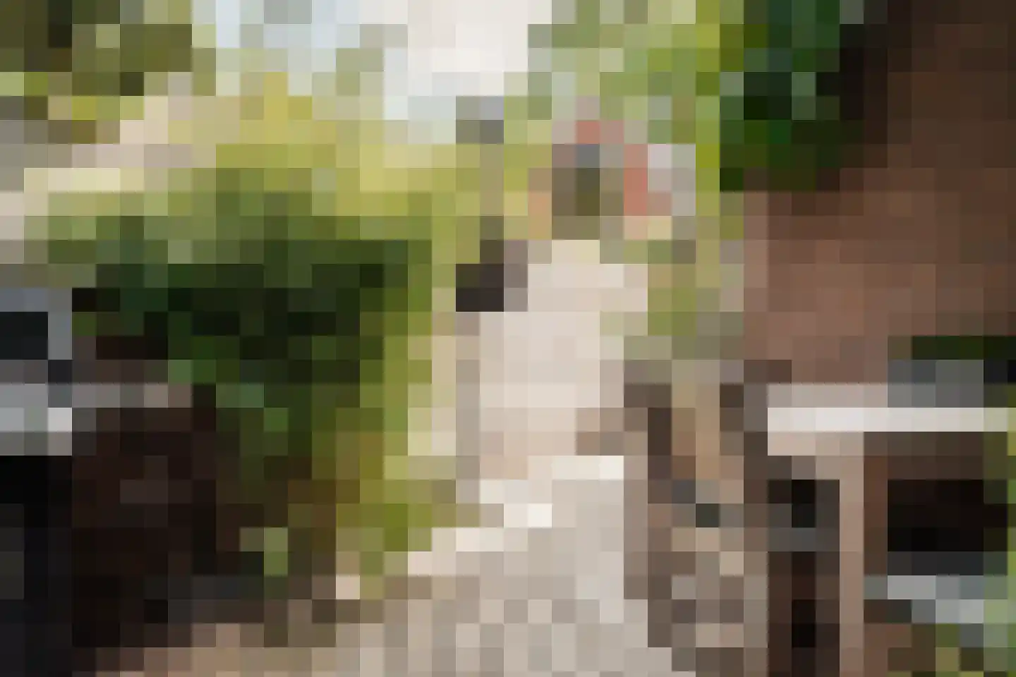 Maerten van Heemskerckstraat 1 B Haarlem thumbnail 30