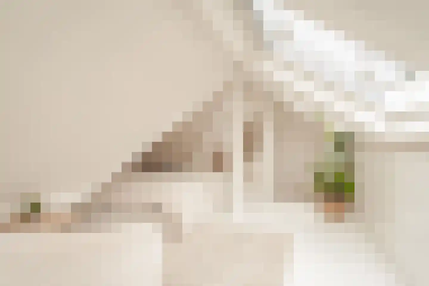 Maerten van Heemskerckstraat 1 B Haarlem thumbnail 45