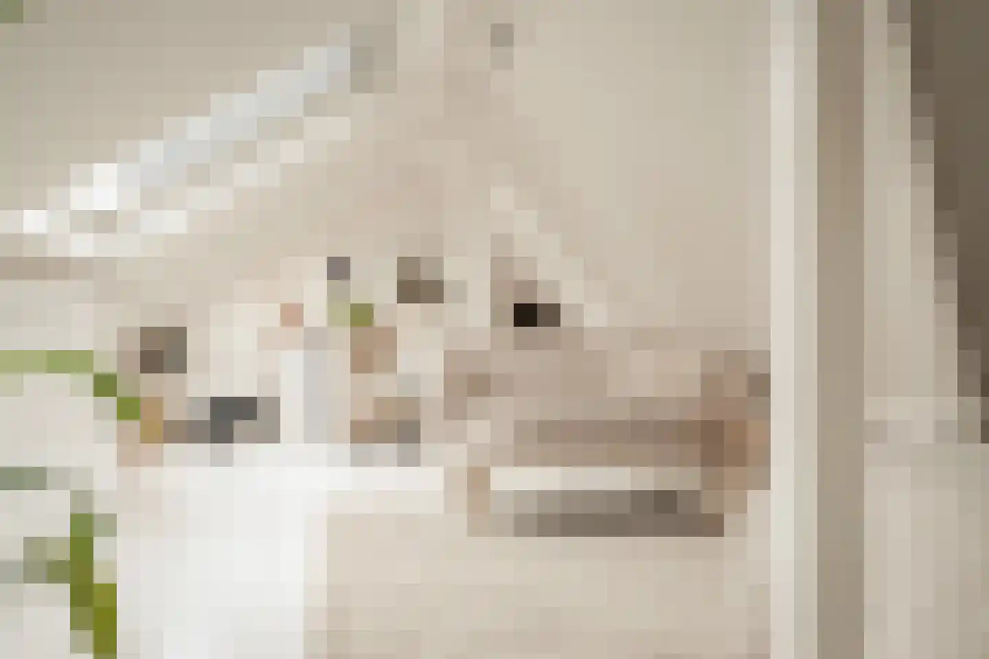 Maerten van Heemskerckstraat 1 B Haarlem thumbnail 5