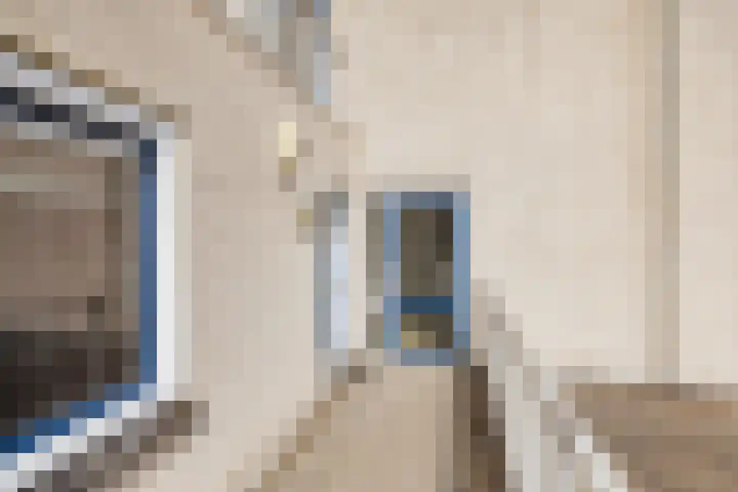 Maerten van Heemskerckstraat 13 Heemskerk thumbnail 5