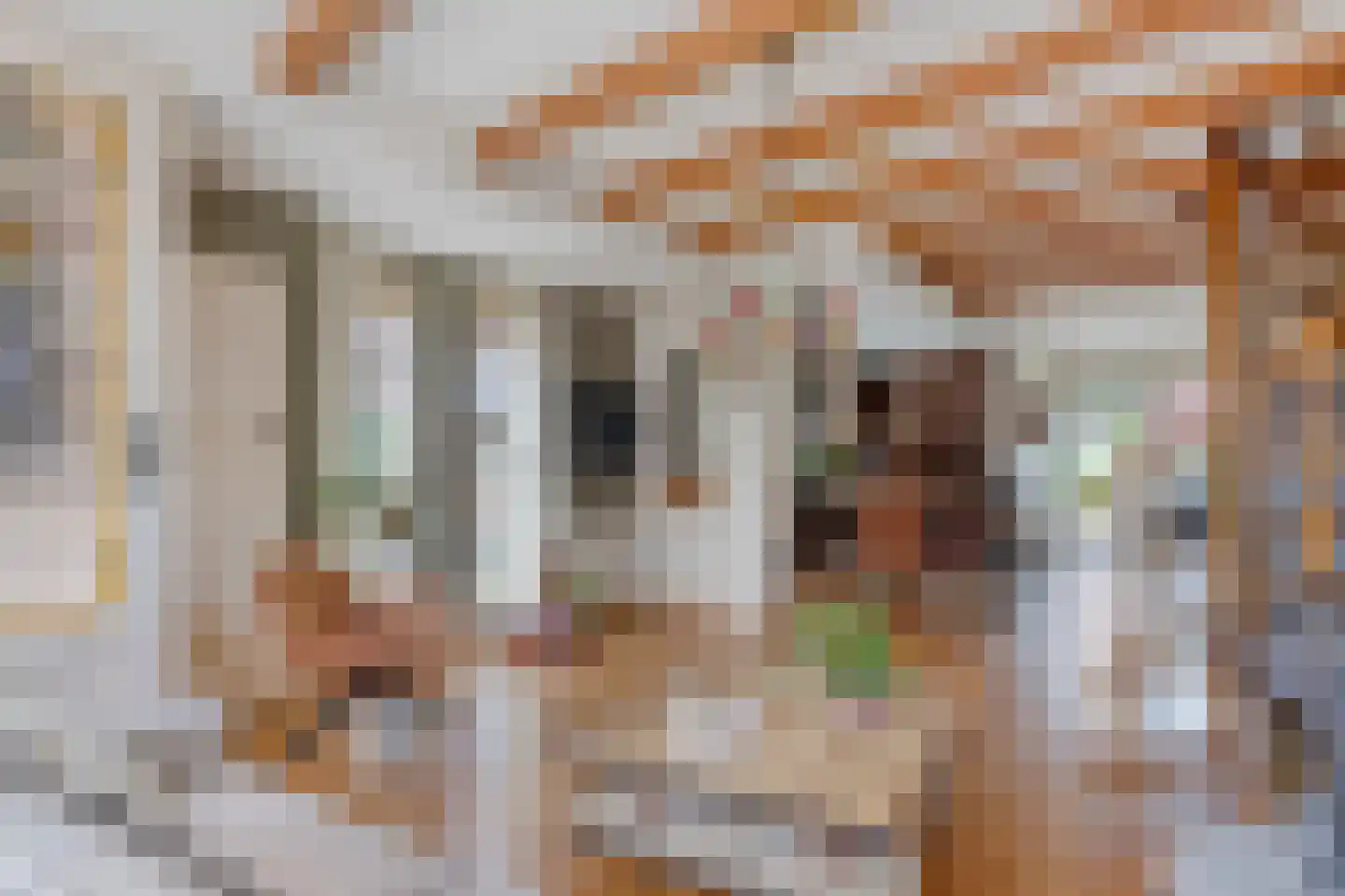 Maerten van Heemskerckstraat 174 Heemskerk foto 3