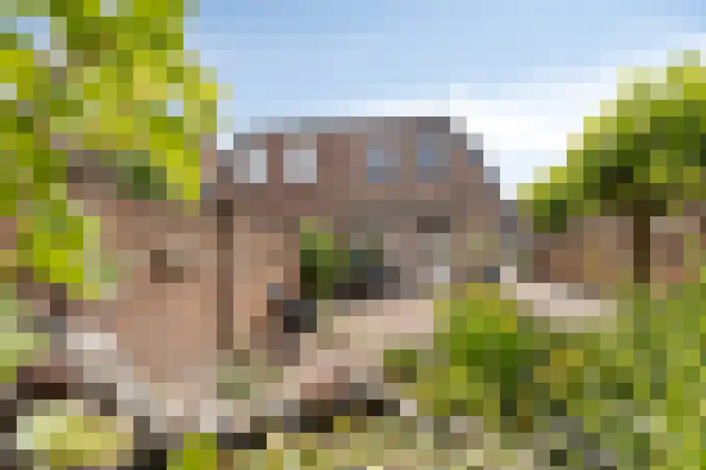 Maerten van Heemskerckstraat 174 Heemskerk thumbnail 30