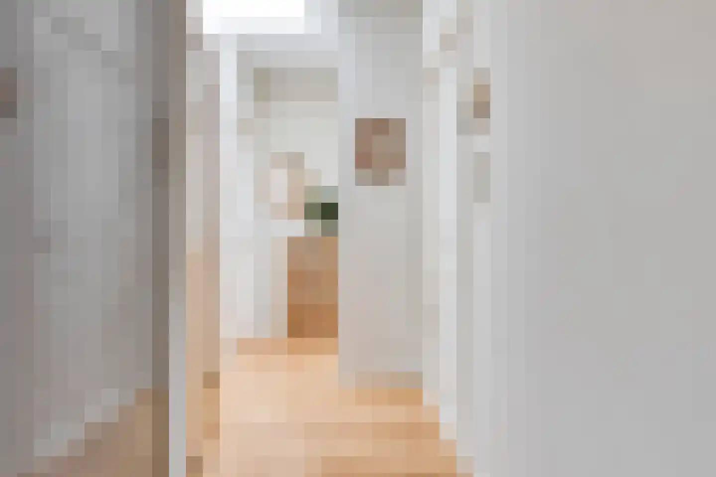 Maerten van Heemskerckstraat 21 B Haarlem thumbnail 14