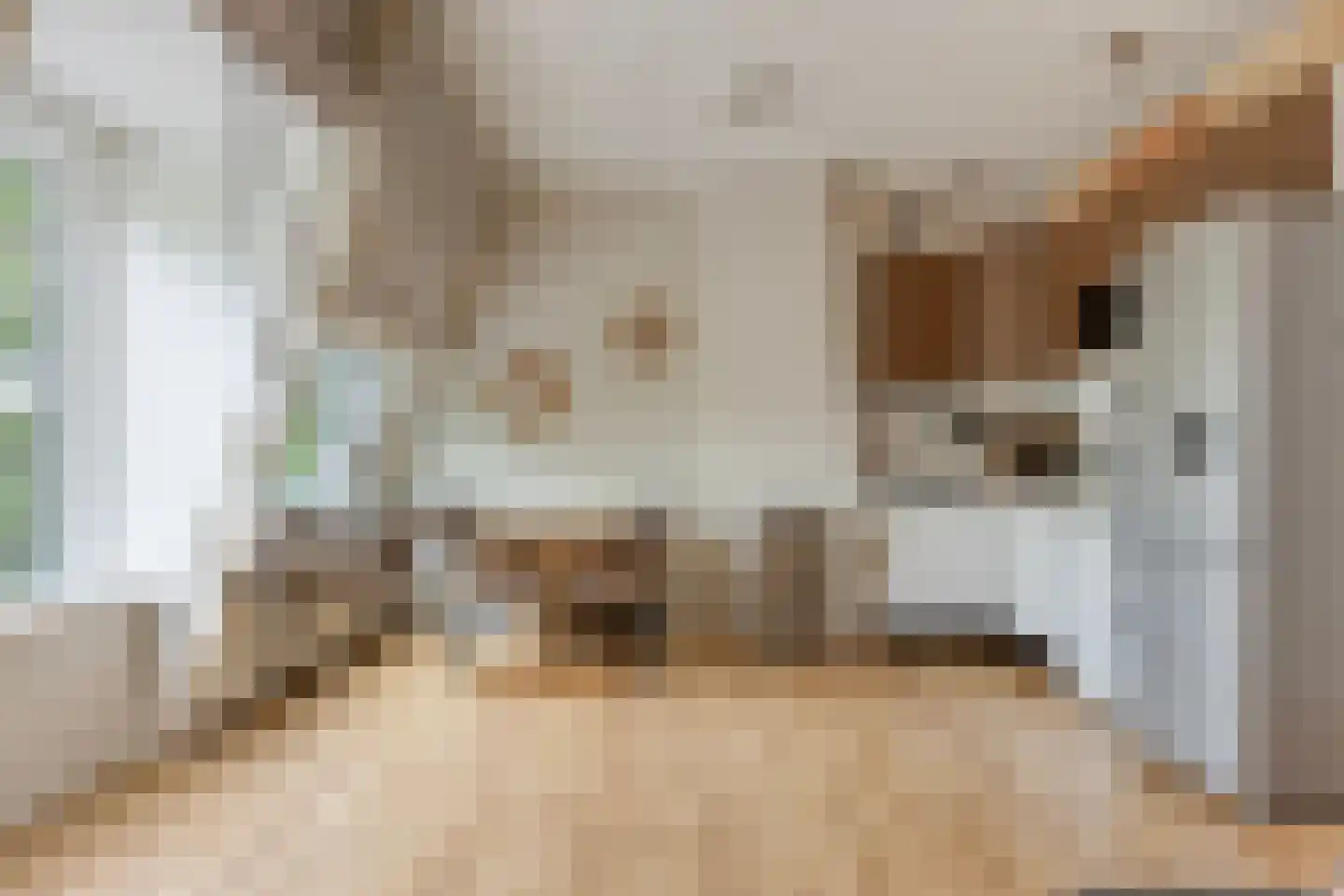 Maerten van Heemskerckstraat 21 B Haarlem thumbnail 4