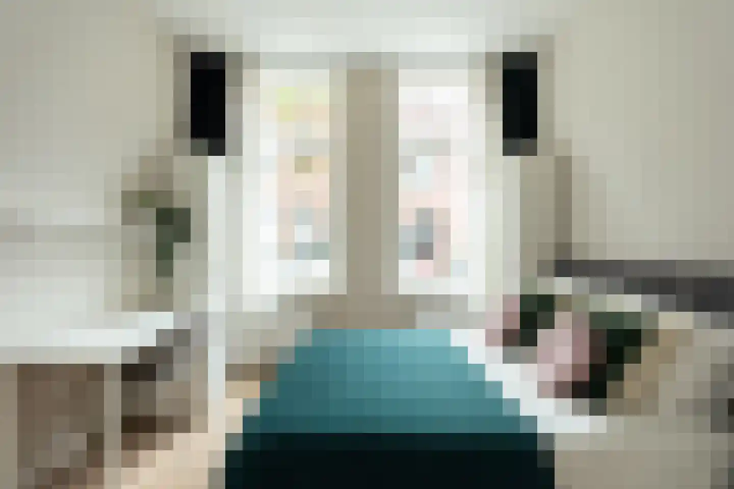 Maerten van Heemskerckstraat 48 ZW Haarlem thumbnail 14