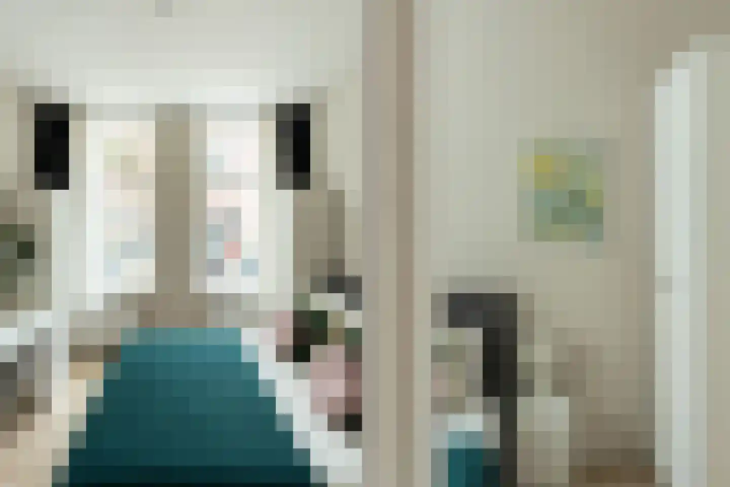 Maerten van Heemskerckstraat 48 ZW Haarlem thumbnail 16