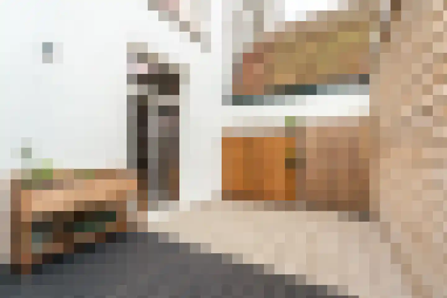 Maerten van Heemskerckstraat 48 ZW Haarlem thumbnail 19