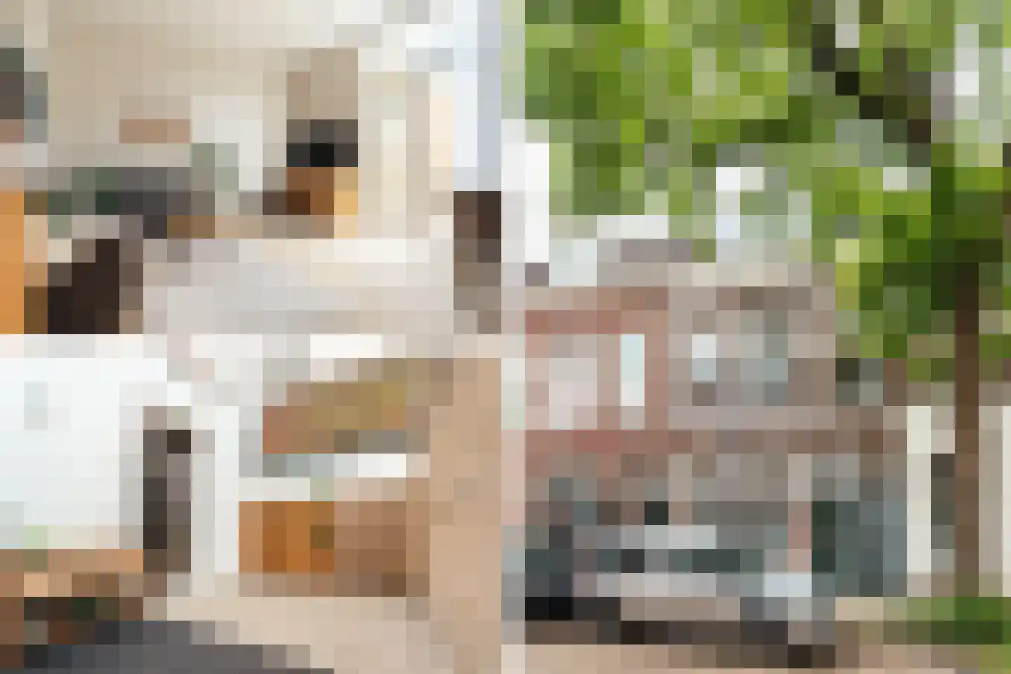 Maerten van Heemskerckstraat 48 ZW Haarlem thumbnail 4
