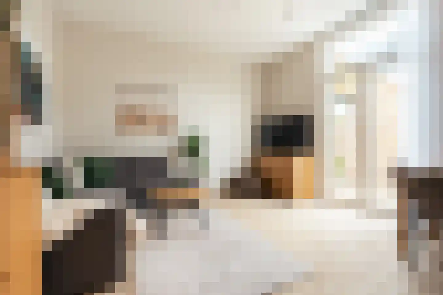 Maerten van Heemskerckstraat 48 ZW Haarlem thumbnail 6