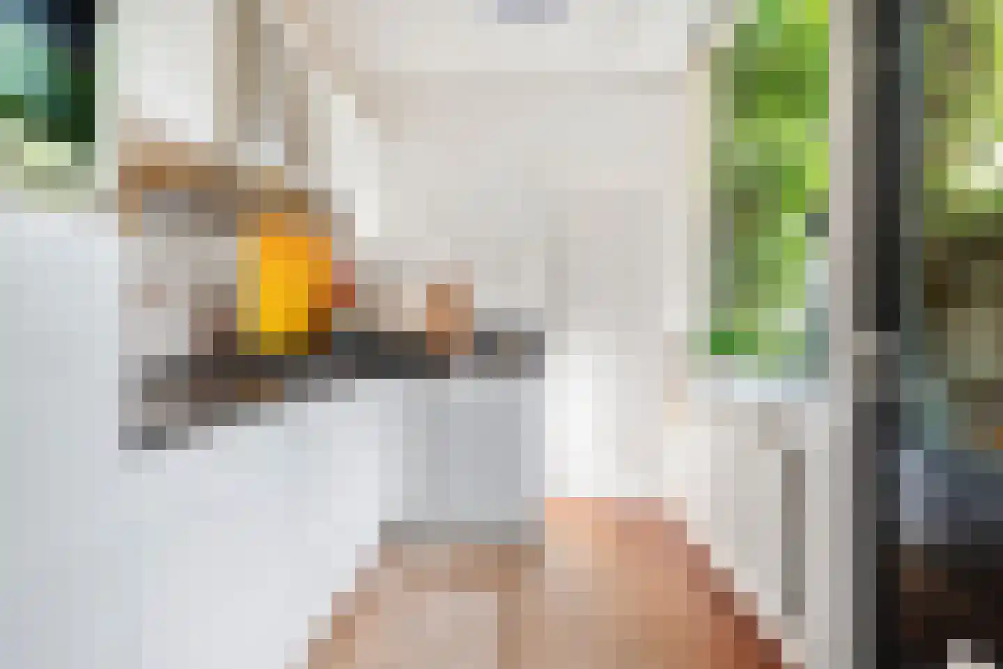Maerten van Heemskerckstraat 83 Haarlem thumbnail 10