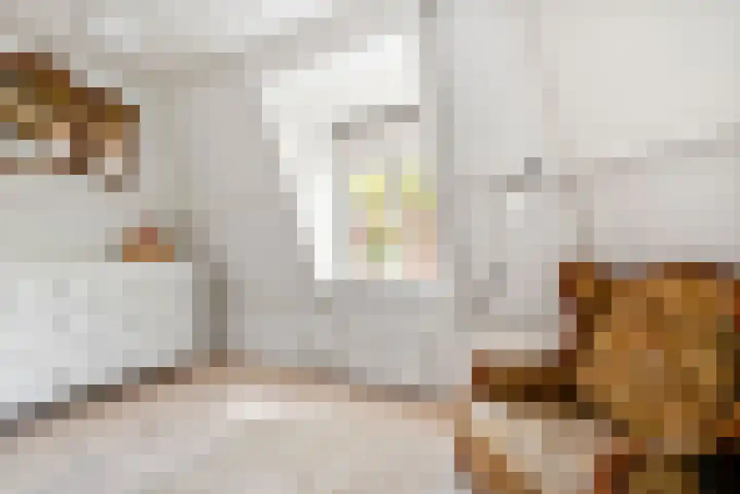 Maerten van Heemskerckstraat 83 Haarlem thumbnail 29