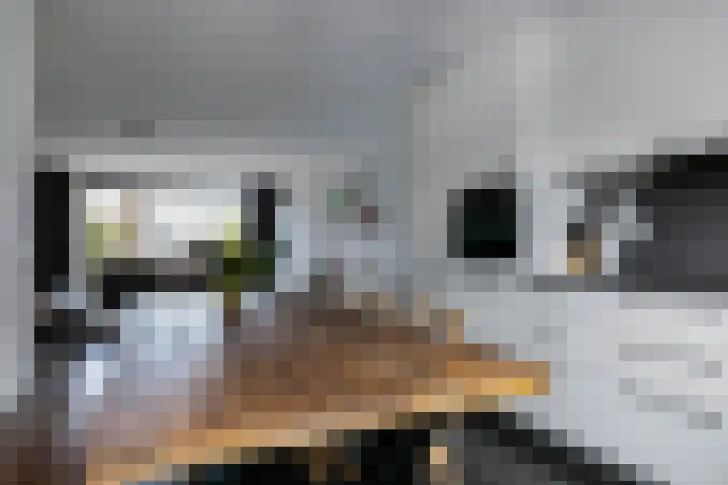 Maes Willemslaan 3 Hoevelaken thumbnail 11