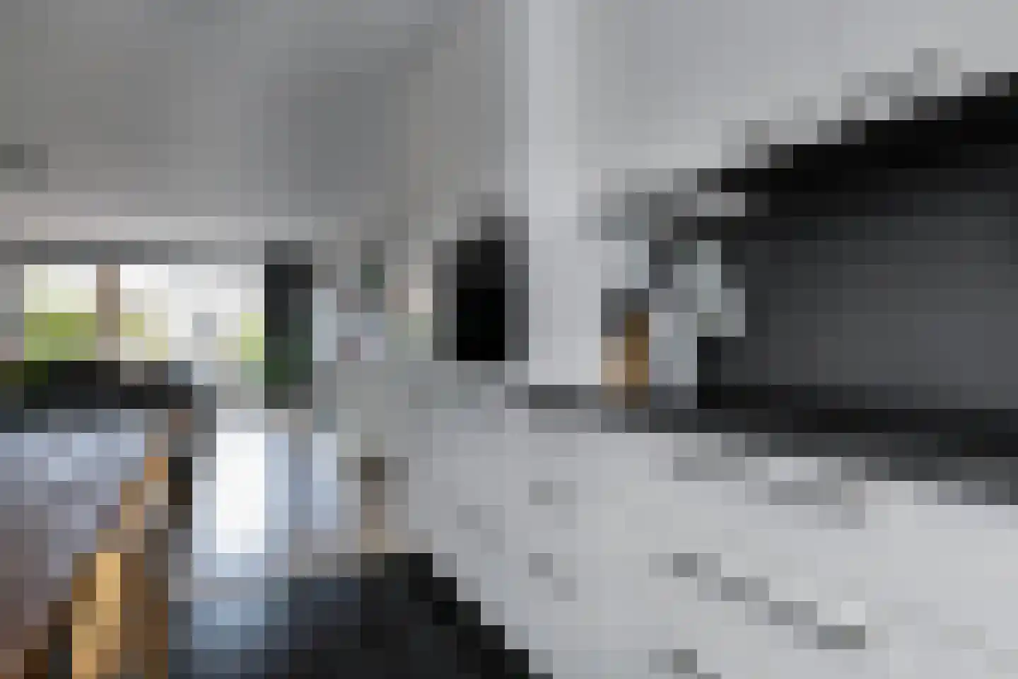 Maes Willemslaan 3 Hoevelaken thumbnail 13