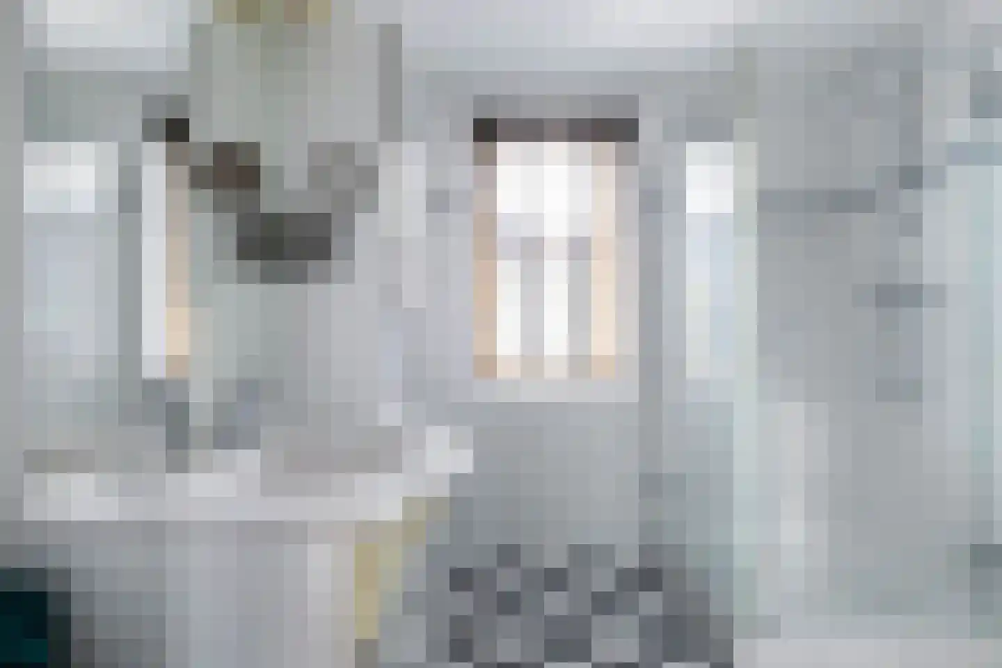 Maes Willemslaan 3 Hoevelaken thumbnail 21