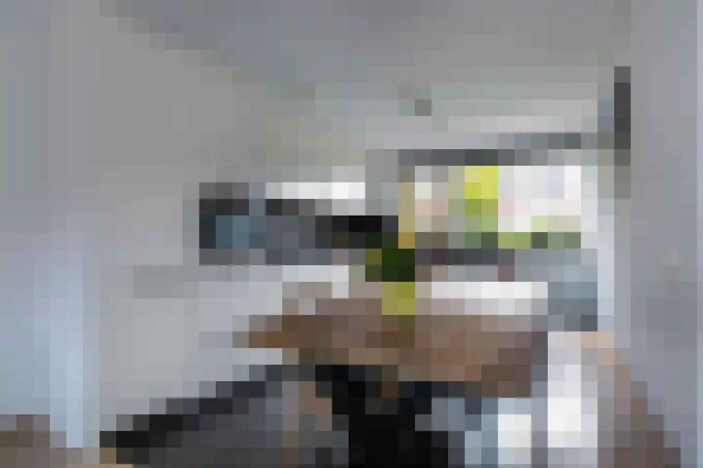 Maes Willemslaan 3 Hoevelaken thumbnail 7
