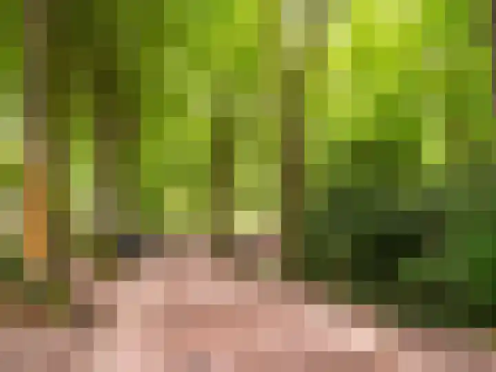 Maesdammerlaan 11 B Bergen (NH) thumbnail 25