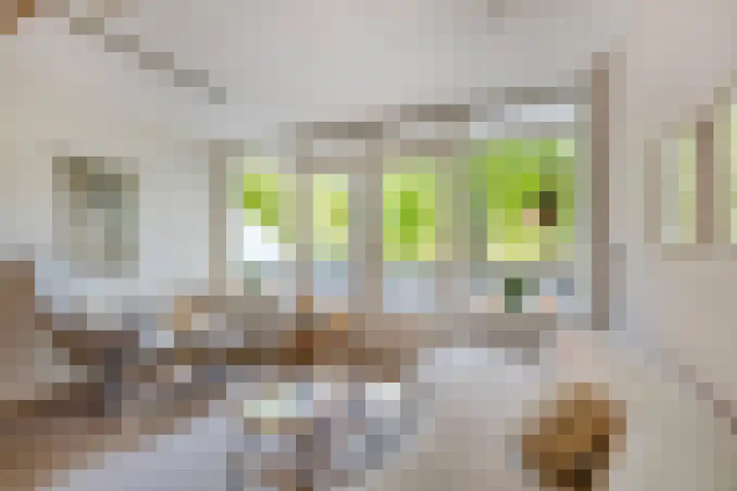 Maesdammerlaan 11 G Bergen (NH) thumbnail 13