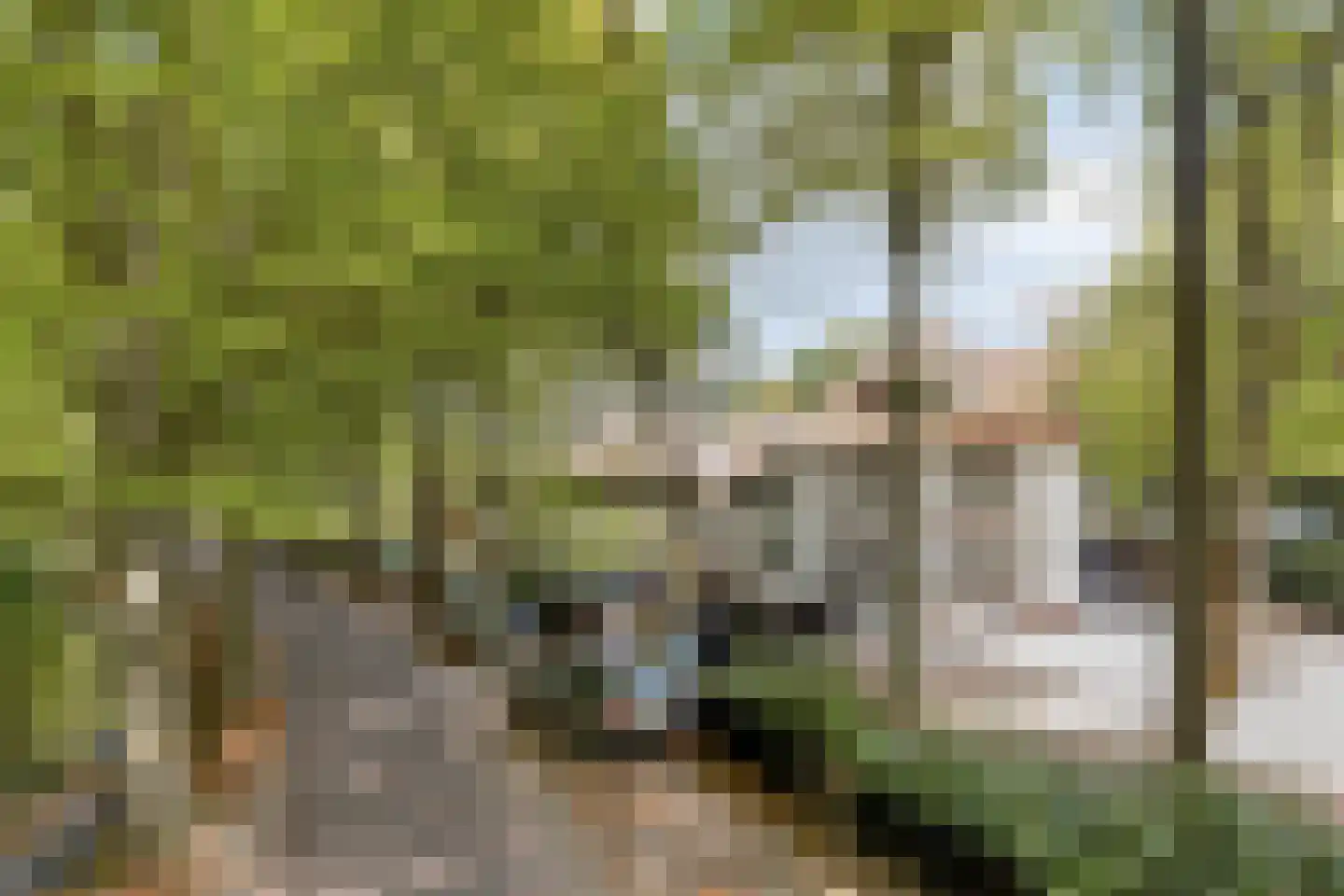 Maesdammerlaan 11 G Bergen (NH) thumbnail 27