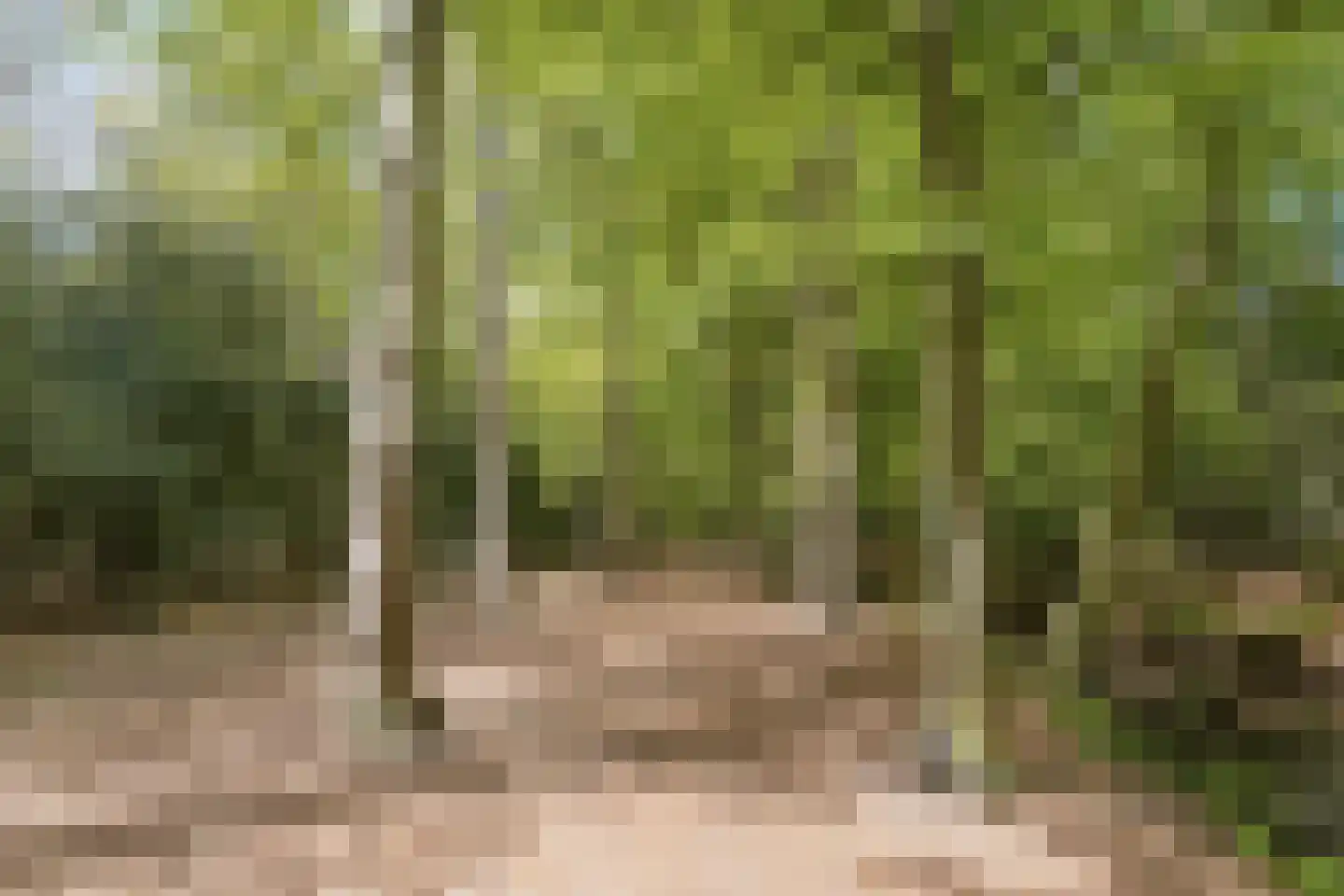Maesdammerlaan 11 G Bergen (NH) thumbnail 32