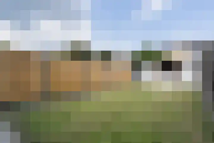 Maesenburg 9 Weert thumbnail 24